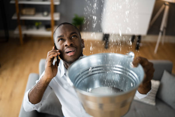 Best Water damage restoration near me  in Vla Grove, IL