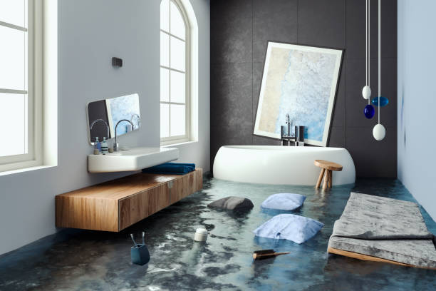 Best 24/7 water damage repair  in Vla Grove, IL
