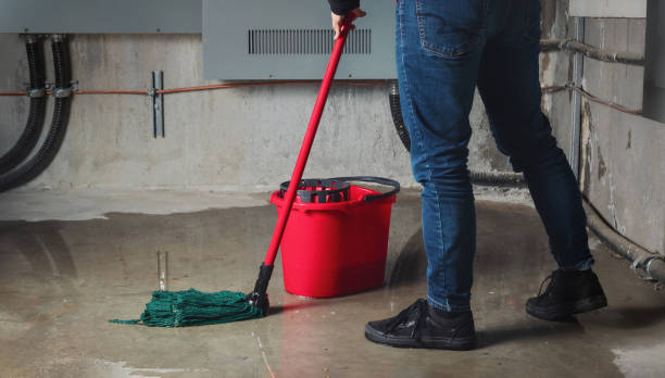 Best Flood damage cleanup  in Vla Grove, IL