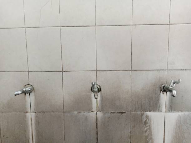 Best Commercial water damage restoration  in Vla Grove, IL