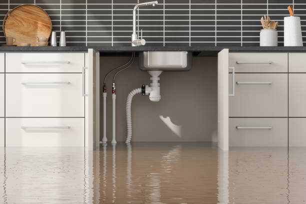 Best Flooded house restoration  in Vla Grove, IL