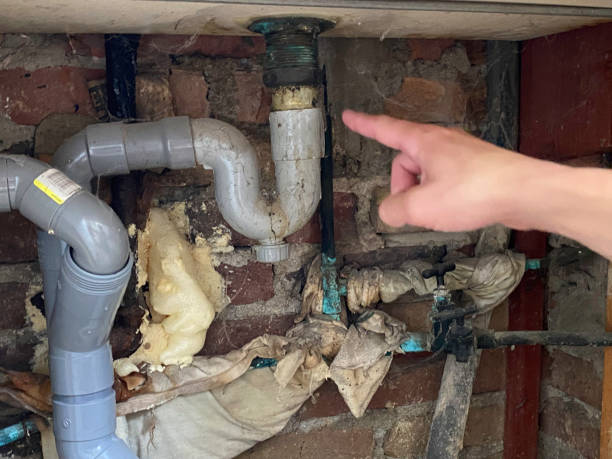 Best Water damage restoration services  in Vla Grove, IL
