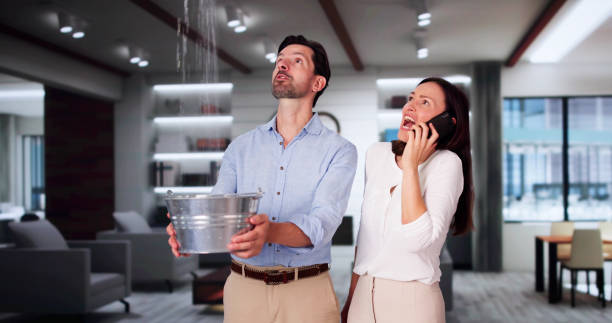 Best Local water damage restoration  in Vla Grove, IL