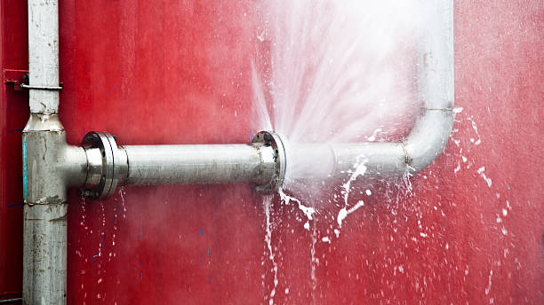 Best Water damage cleanup near me  in Vla Grove, IL